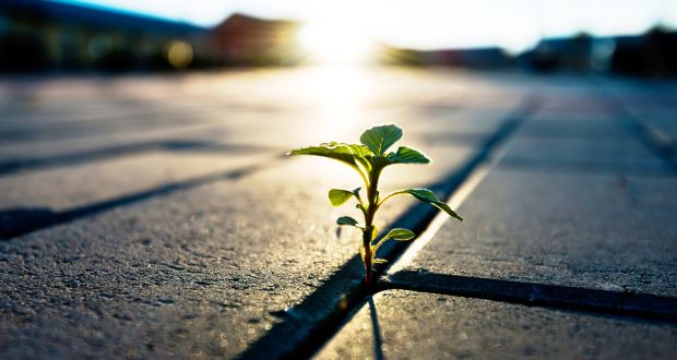 The Substance of Things Hoped&nbsp;For